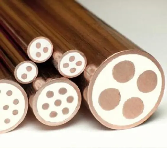 微信圖片_20220610081952 微信圖片_20220610081952